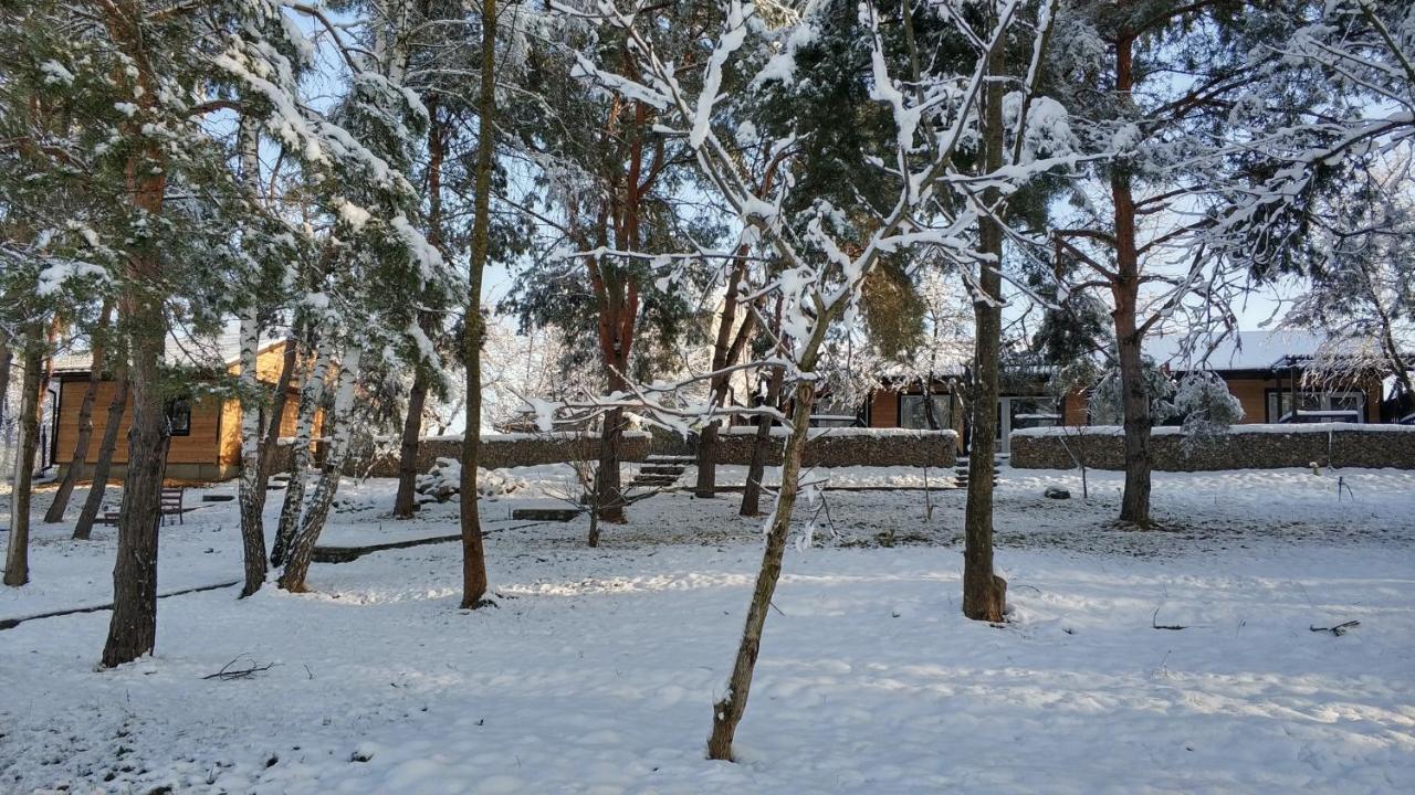 Воллен Zhvanets Exterior foto
